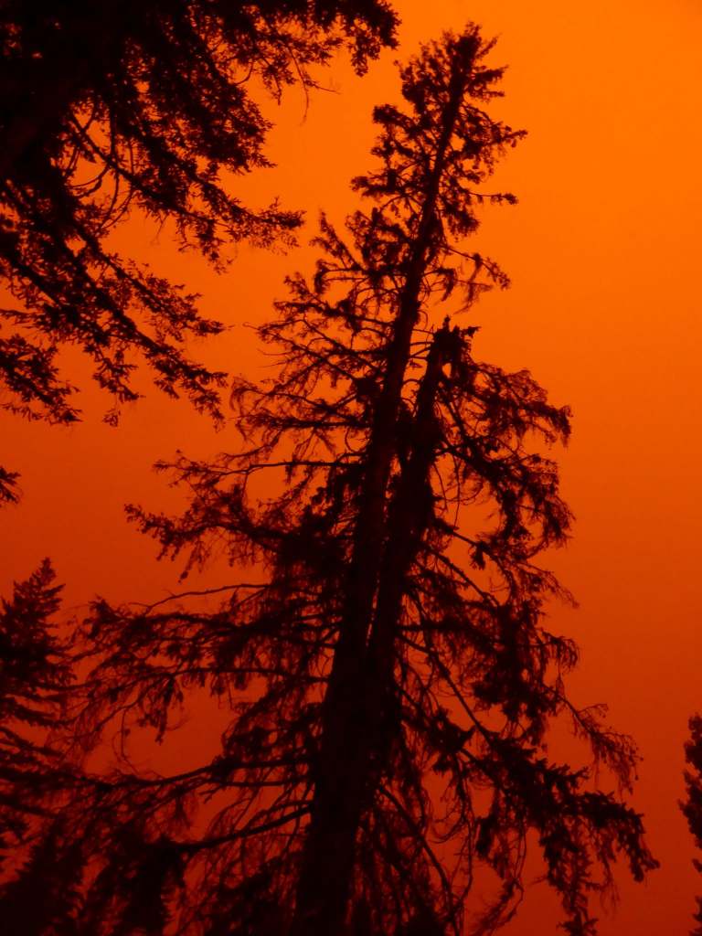 iN PHOTOS: Sky over Kamloops transformed by wildfire smoke | iNFOnews.ca iN PHOTOS: Sky over Kamloops transformed by wildfire smoke | iNFOnews.ca