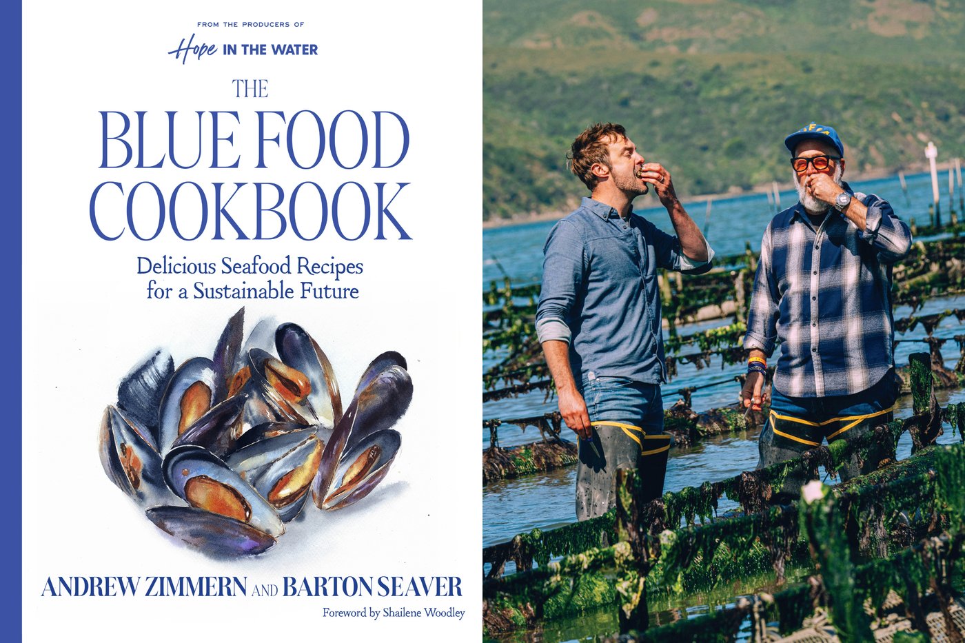 A new 'Blue Food' cookbook champions fish and other seafood for any meal | iNFOnews.ca