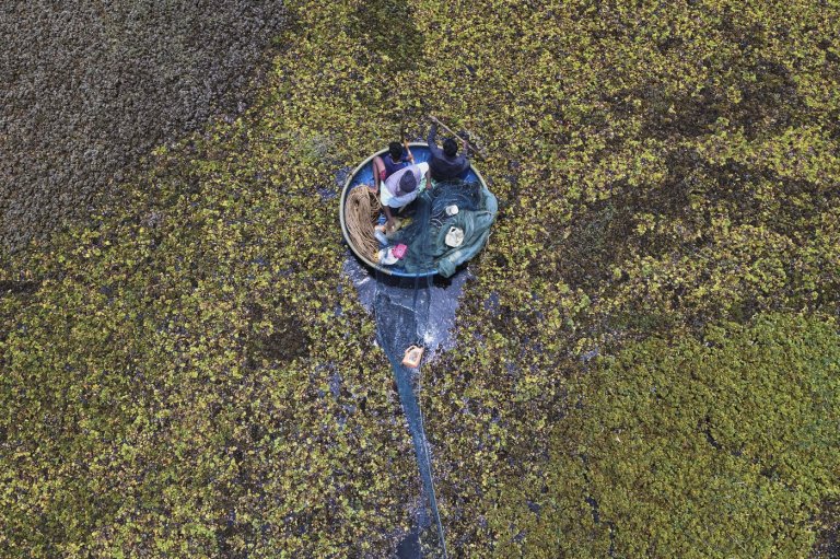 As climate risks grow, India's Bengaluru is trying to save its vanishing lakes | iNFOnews.ca