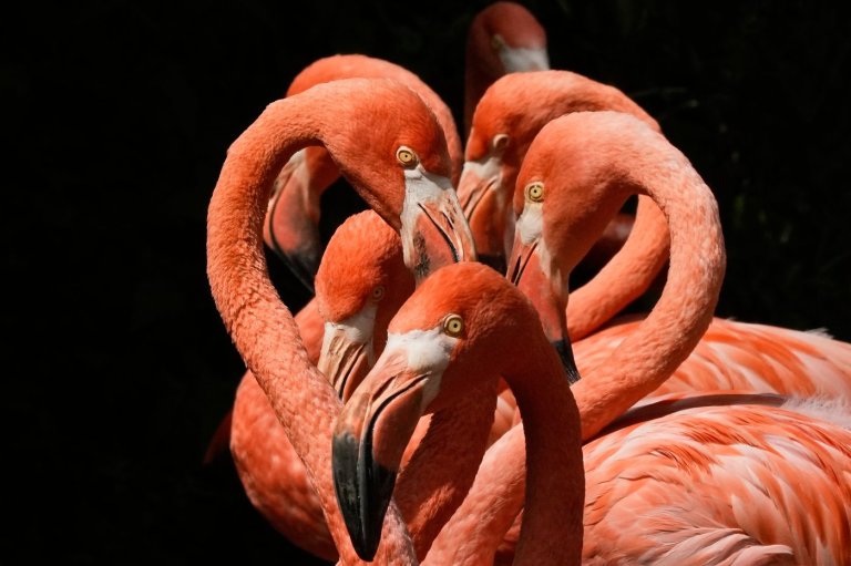 The top photos of the day by AP's photojournalists | iNFOnews.ca