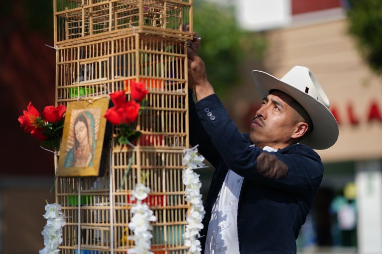 These men carry towers of birds through Mexico's streets. They say their tradition is dying out. | iNFOnews.ca