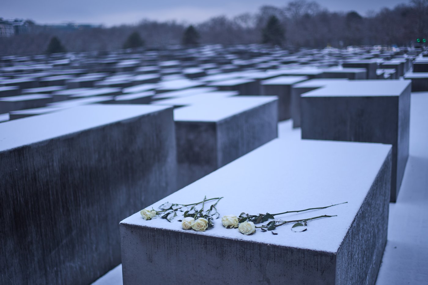 World pauses to commemorate International Holocaust Remembrance Day | iNFOnews.ca