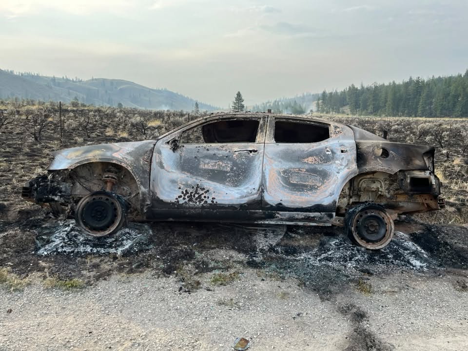 A burnt-out car in a grass field.