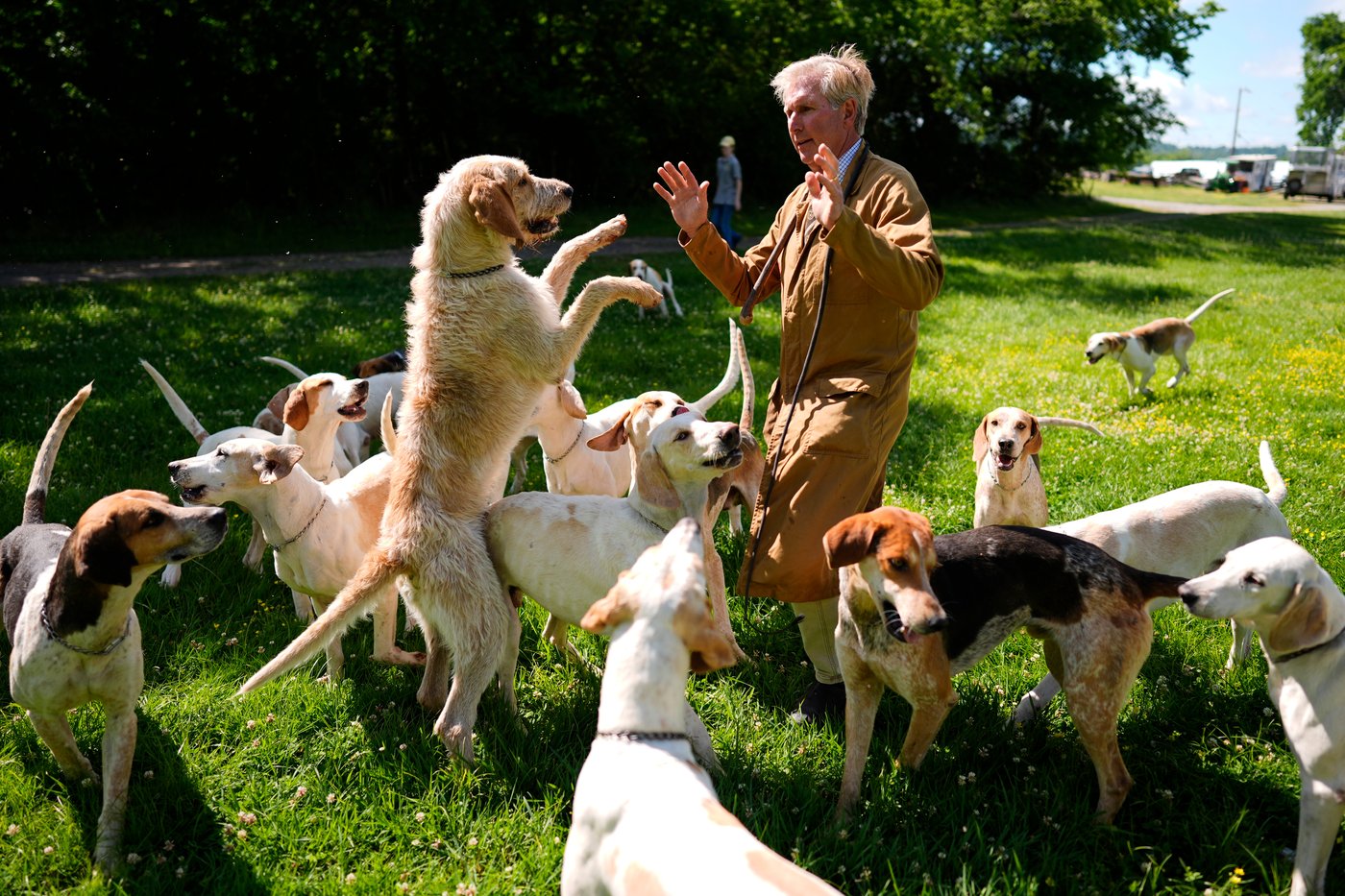 At the Iroquois Steeplechase, the foxhounds kick off the horse races with a howling fun dog parade | iNFOnews.ca At the Iroquois Steeplechase, the foxhounds kick off the horse races with a howling fun dog parade | iNFOnews.ca