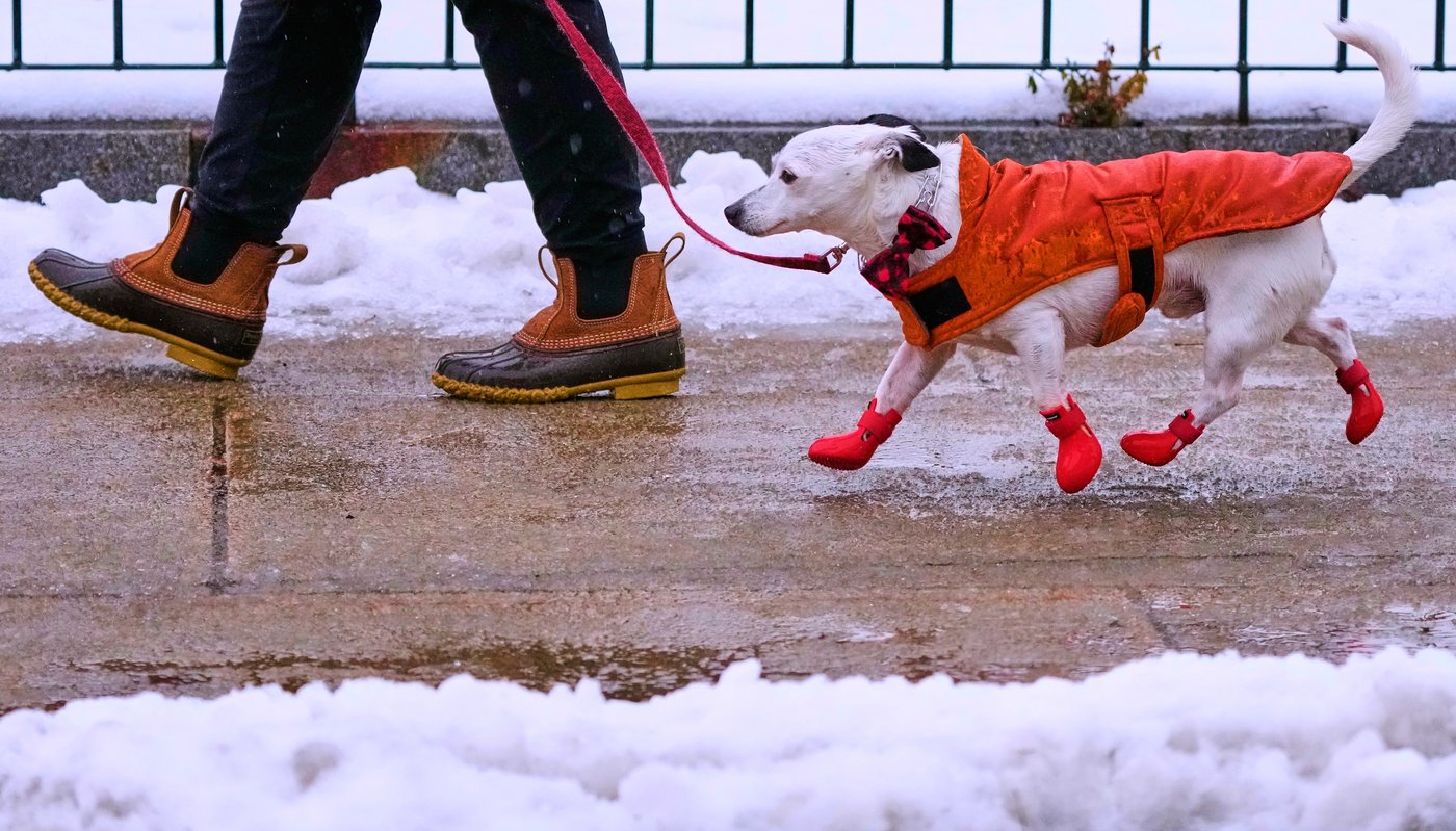 A bomb cyclone brings blizzards to the Midwest before turning east | iNFOnews.ca
