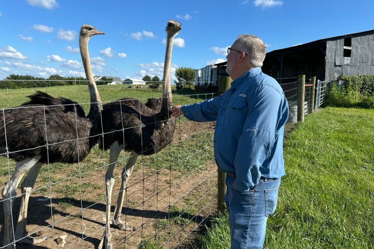 A Kentucky man with a meat allergy was craving a burger. So he got into ostrich farming | iNFOnews.ca