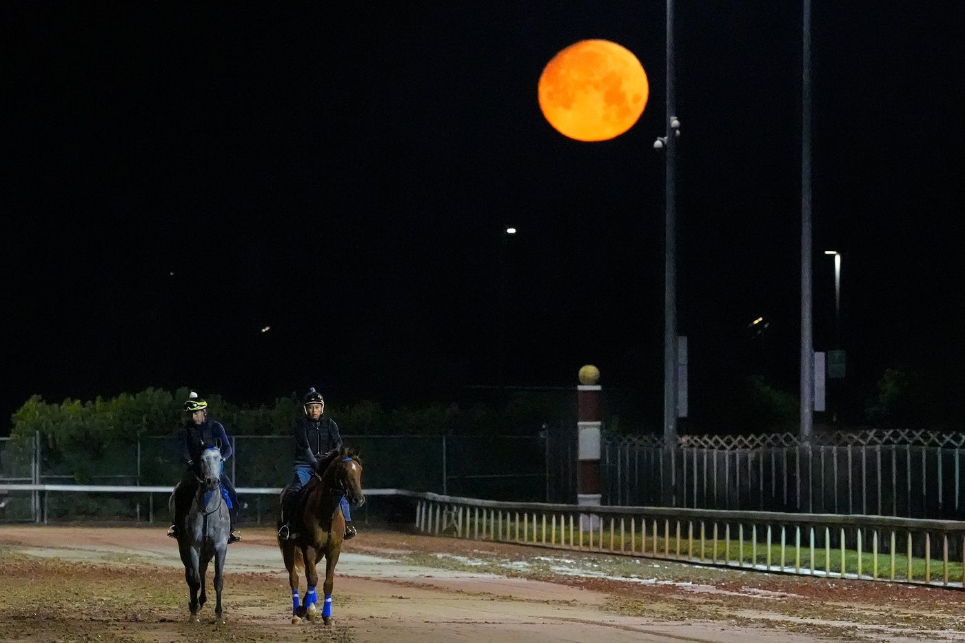 Photos show pre-race workouts ahead of the Kentucky Derby | iNFOnews.ca