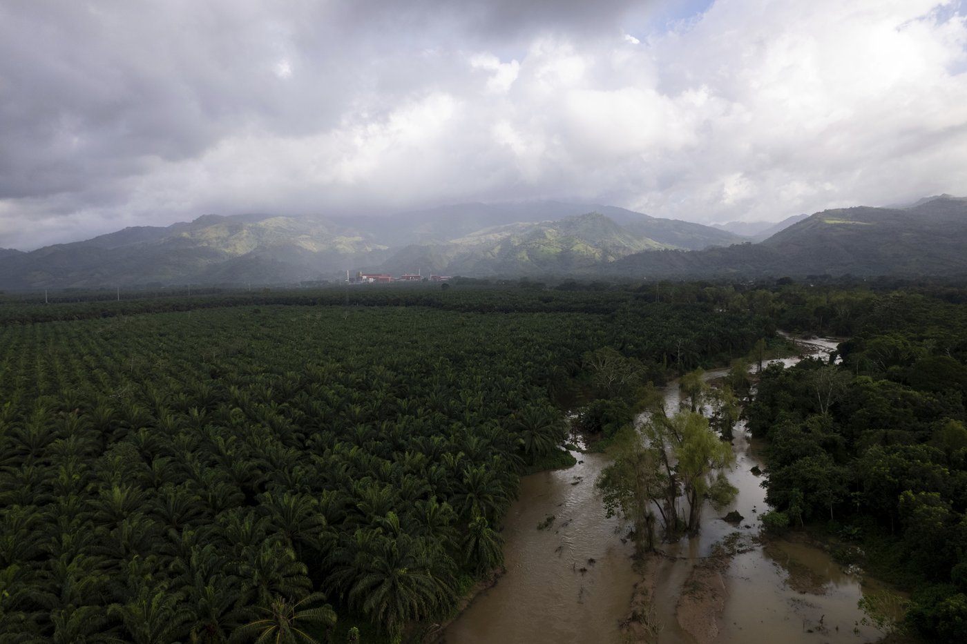 He fought to save jungles in Honduras. Now his killing haunts environmental defenders | iNFOnews.ca