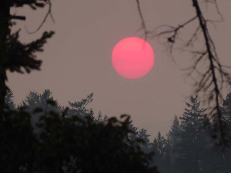 A setting sun is pink through wildfire smoke.