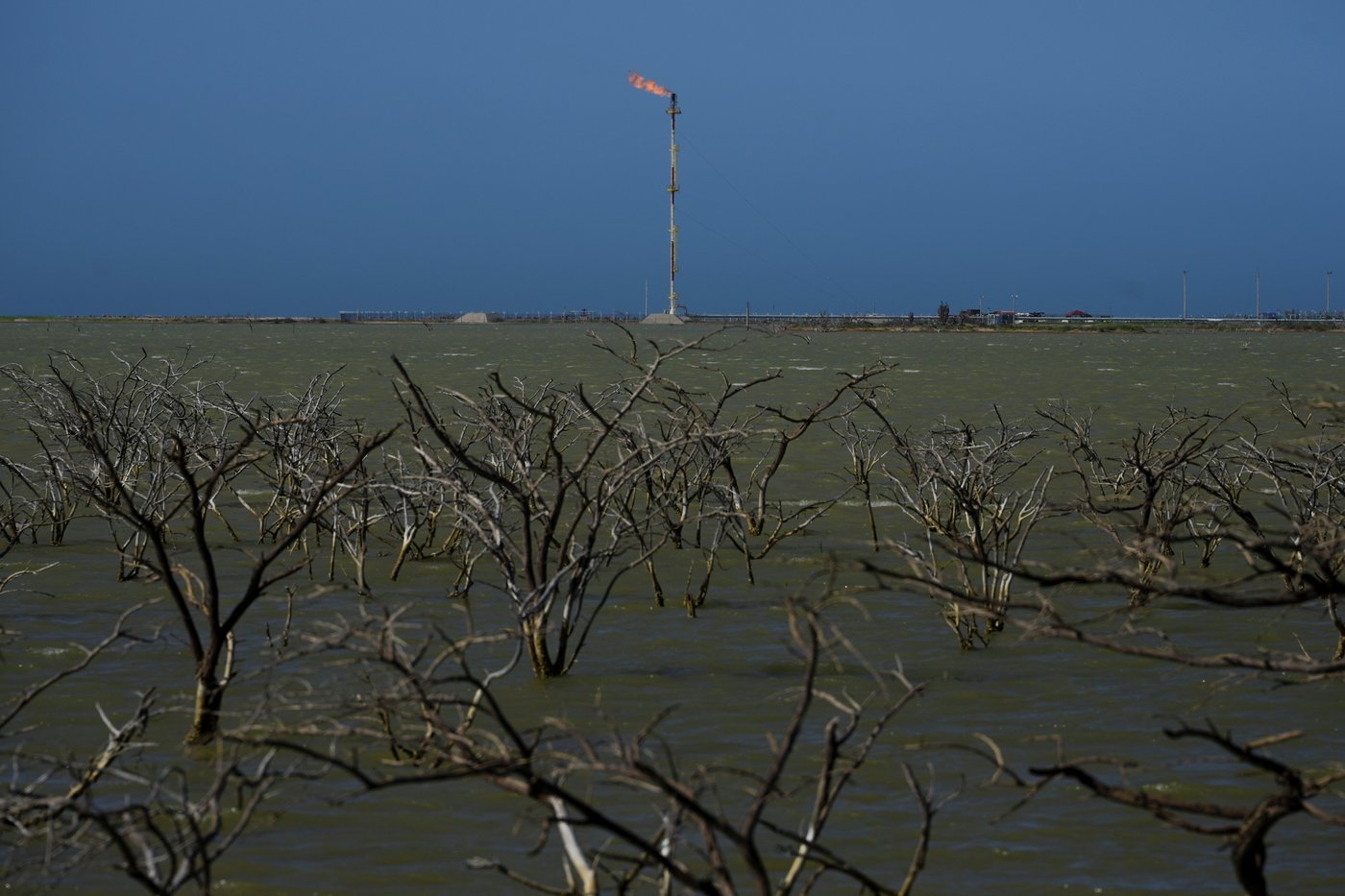 Colombia's presidential runoff could impact the future of the Amazon rainforest and fossil fuels | iNFOnews.ca
