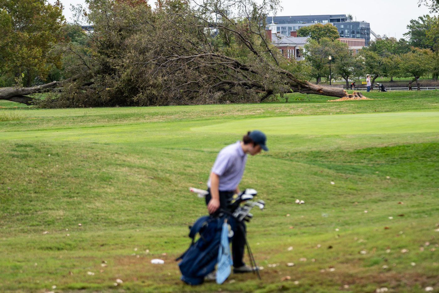 Park service could remove more than 500 trees at historic golf course Trump wants to redesign | iNFOnews.ca Park service could remove more than 500 trees at historic golf course Trump wants to redesign | iNFOnews.ca