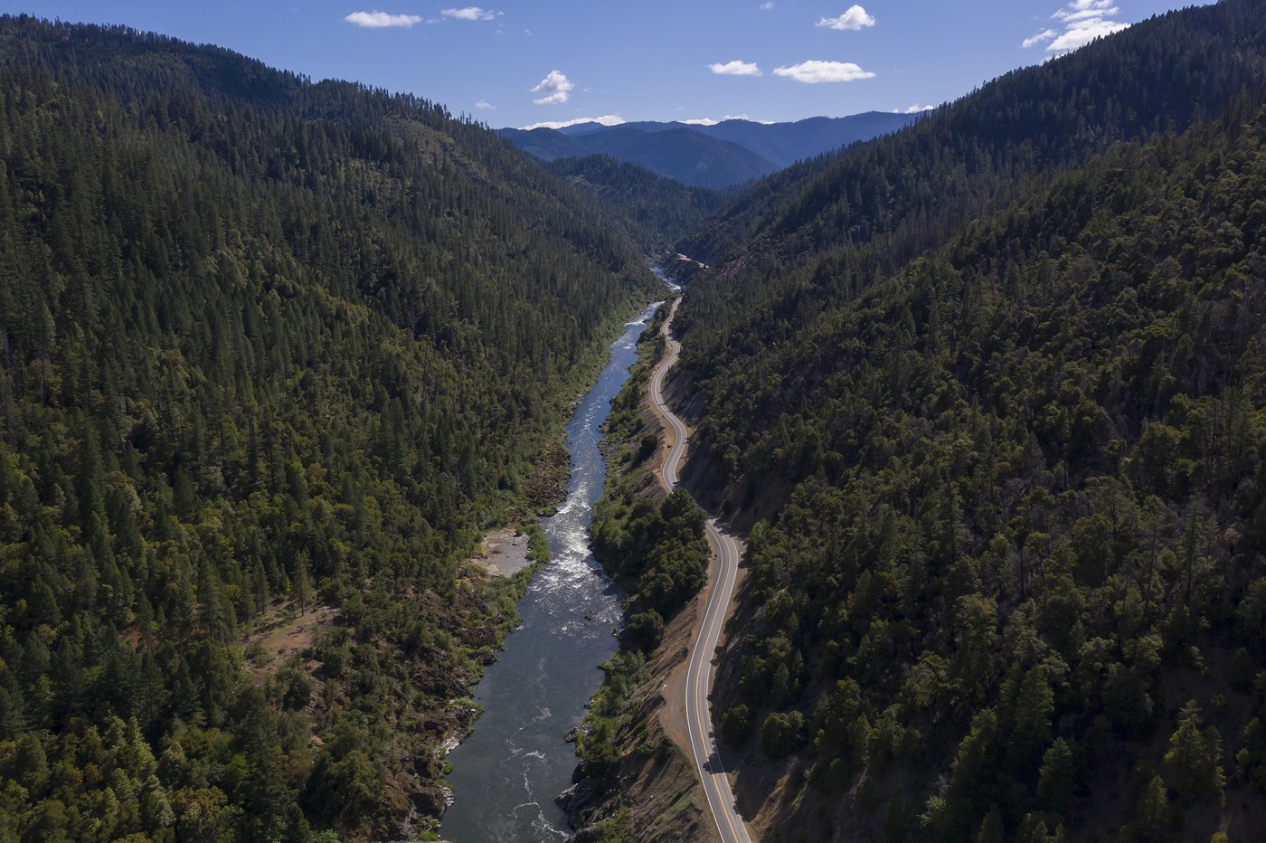 Salmon return to lay eggs in historic habitat after largest dam removal project in US history | iNFOnews.ca