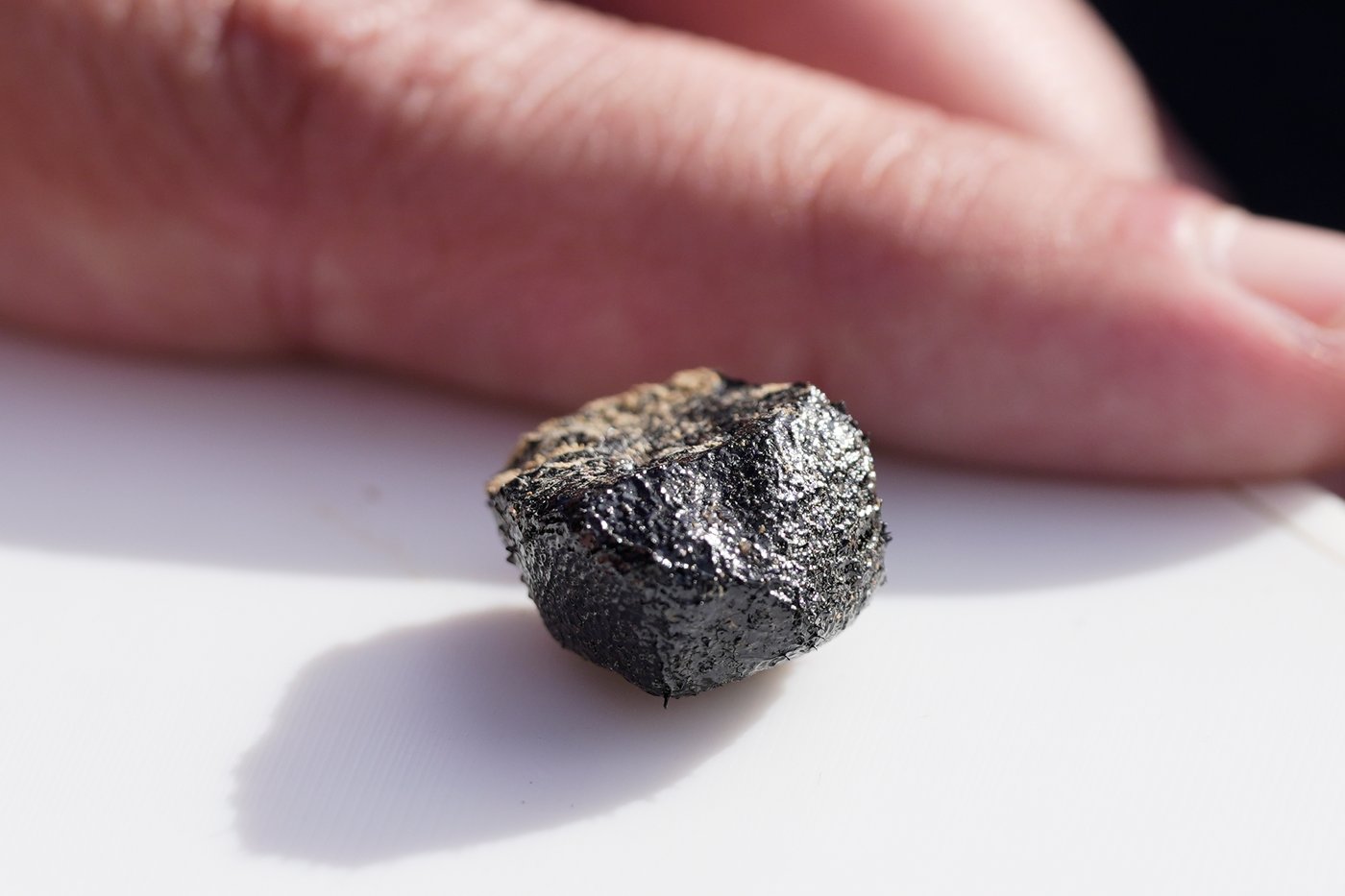 Meteorite hunters scour Ohio for fragments of 7-ton space rock that crashed into Earth | iNFOnews.ca