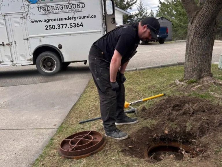 A worker looks into a septic tank on a lawn with his work vehicle in the background.