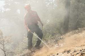 A wildland firefighter putting out a hotspot with a water hose.