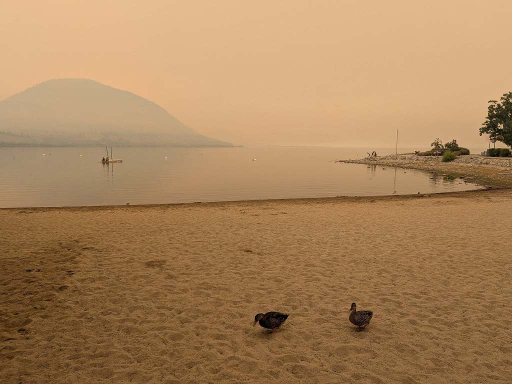 iN PHOTOS: Wildfire smoke creates haunting atmosphere in the Okanagan, Kamloops | iNFOnews.ca iN PHOTOS: Wildfire smoke creates haunting atmosphere in the Okanagan, Kamloops | iNFOnews.ca