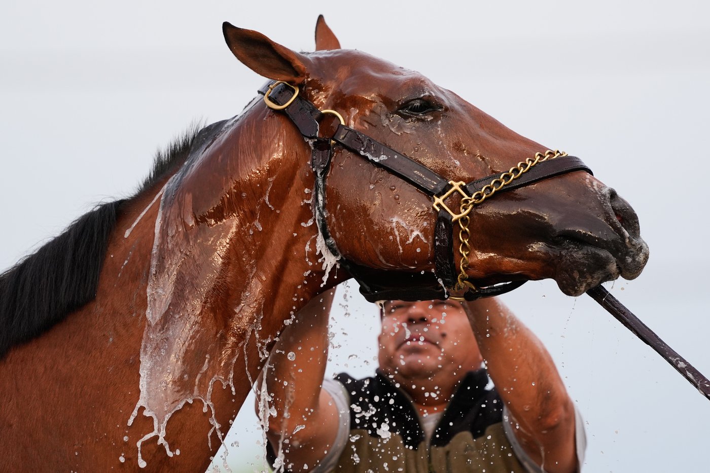 Photos show pre-race workouts ahead of the Kentucky Derby | iNFOnews.ca