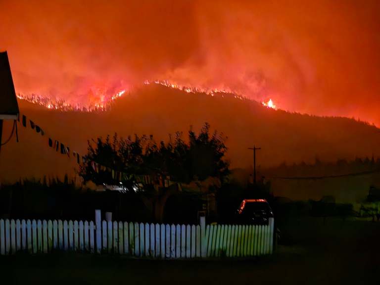 A mountain is lit up with wildfire at night.
