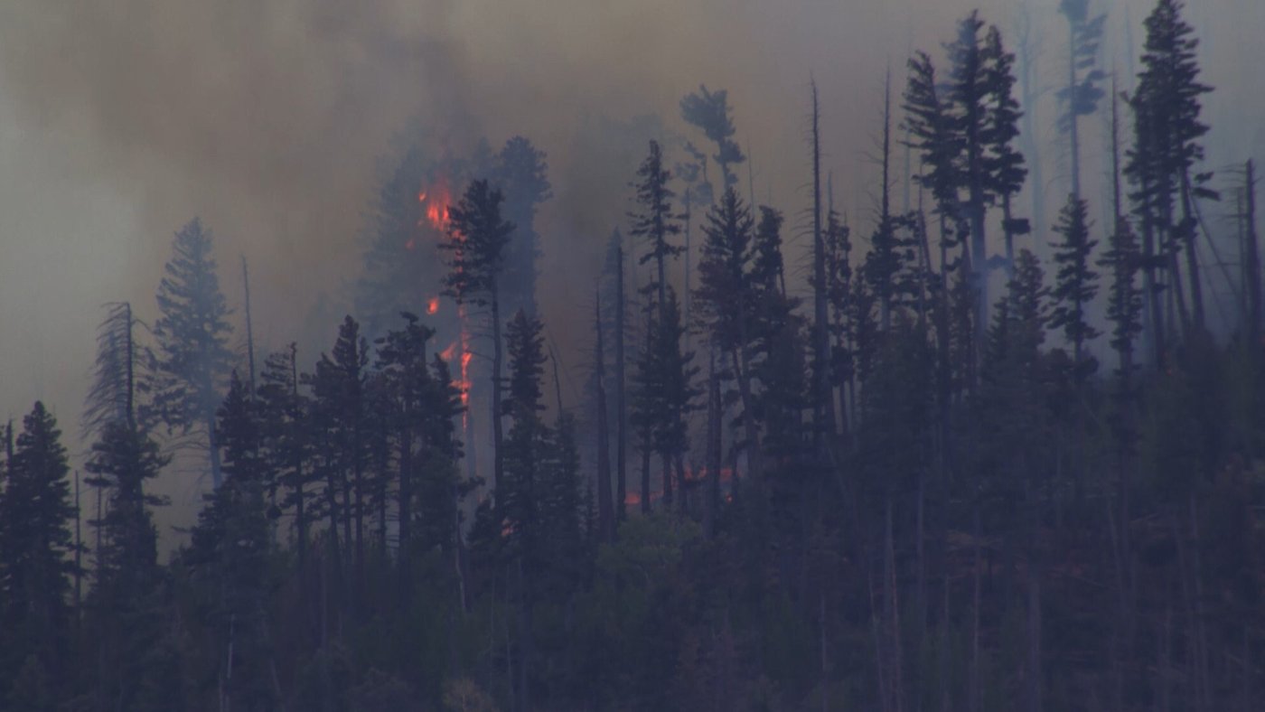 Small medical plane crashes in New Mexico mountains, killing all 4 people aboard | iNwheels Small medical plane crashes in New Mexico mountains, killing all 4 people aboard | iNwheels