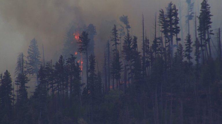 New Mexico wildfire sparked by fatal medical plane crash spreads quickly in rural area | iNFOnews.ca