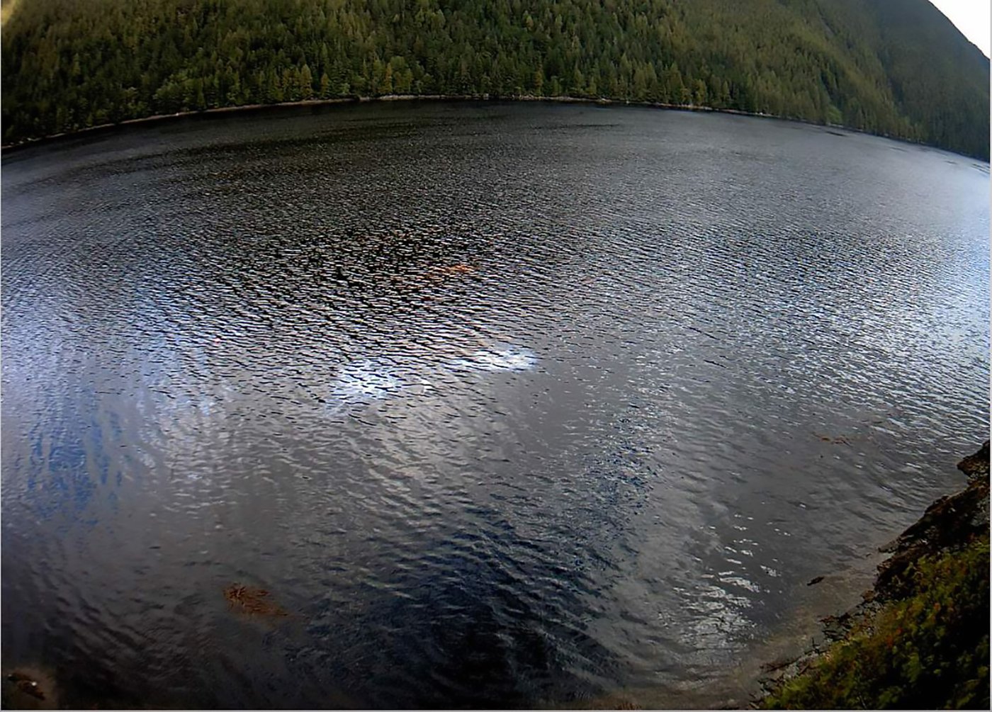 Oil removal work begins on 'fragile' Second World War-era wreck in coastal B.C. | iNFOnews.ca Oil removal work begins on 'fragile' Second World War-era wreck in coastal B.C. | iNFOnews.ca