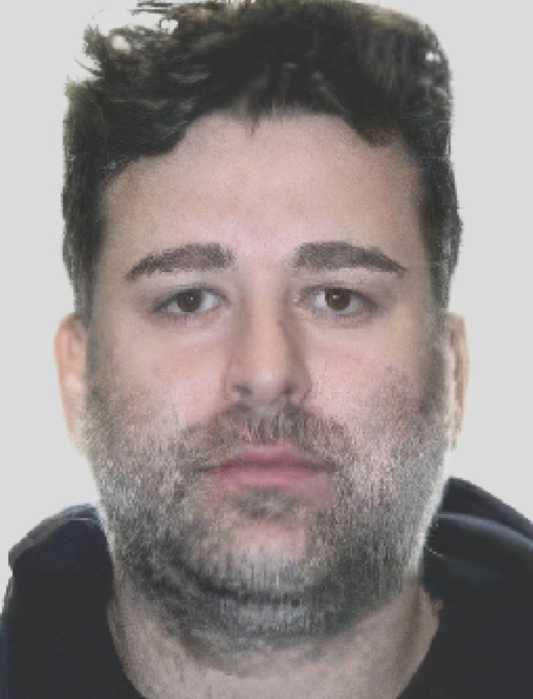 Accused in Ryan Wedding case set to make bid for bail ahead of extradition hearing | iNFOnews.ca