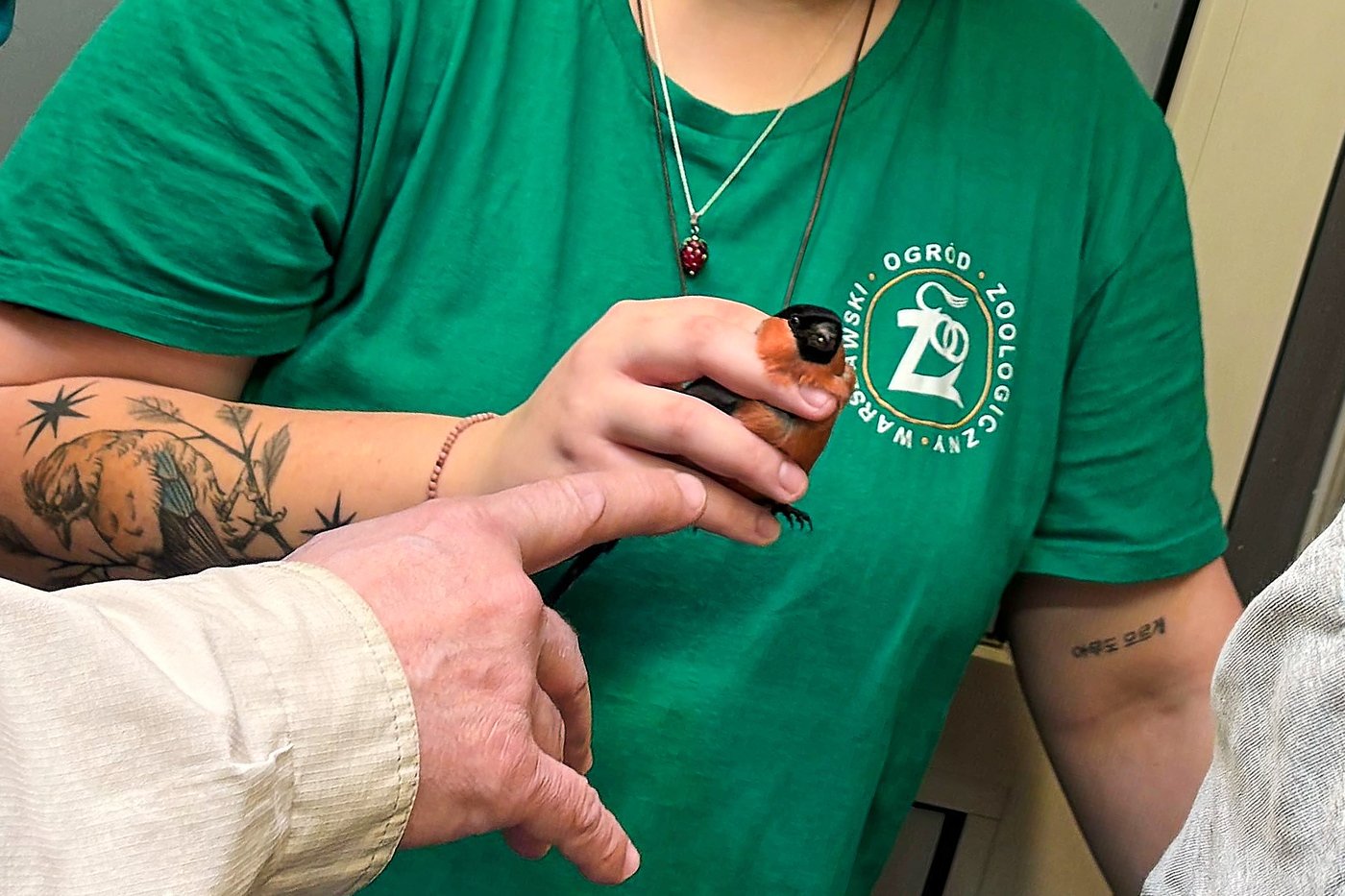 This new bird ER offers hope for injured wildlife | iNFOnews.ca
