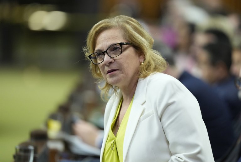 Provincial immigrant nominee programs get late year boost: Diab | iNFOnews.ca