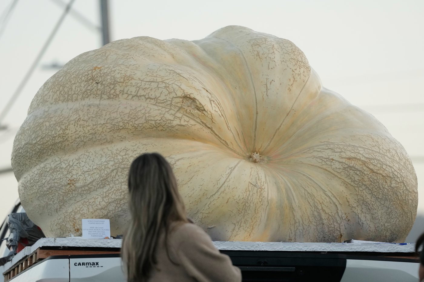 3,156-pound pumpkin grown in Rhode Island is inspected for possible world record | iNFOnews.ca