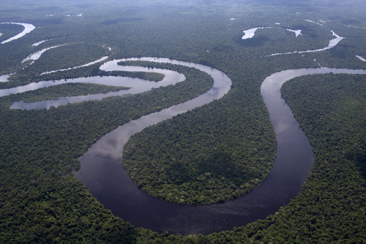 New research shows a quarter of freshwater animals are threatened with extinction | iNFOnews.ca