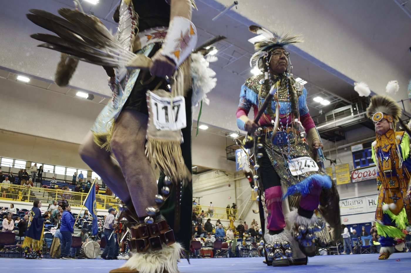 Eagle feathers play a sacred role in powwows. Poachers are exploiting the high demand | iNFOnews.ca