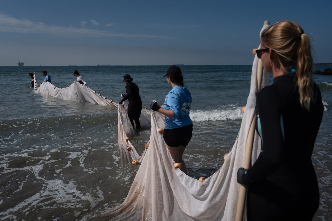 Catching stingrays and treating their victims on Southern California beaches, in photos | iNFOnews.ca