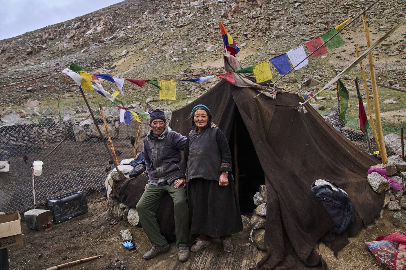 High in India’s Himalayan mountains, yak herders struggle to survive a warming world | iNFOnews.ca
