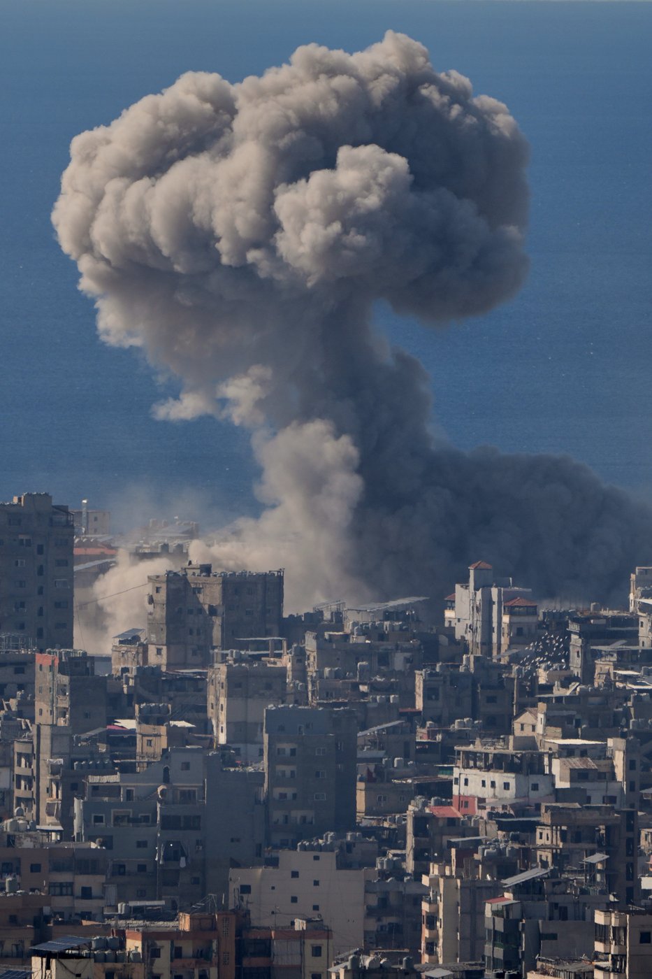 See the world in vertical: Top photos by AP photojournalists | iNFOnews.ca