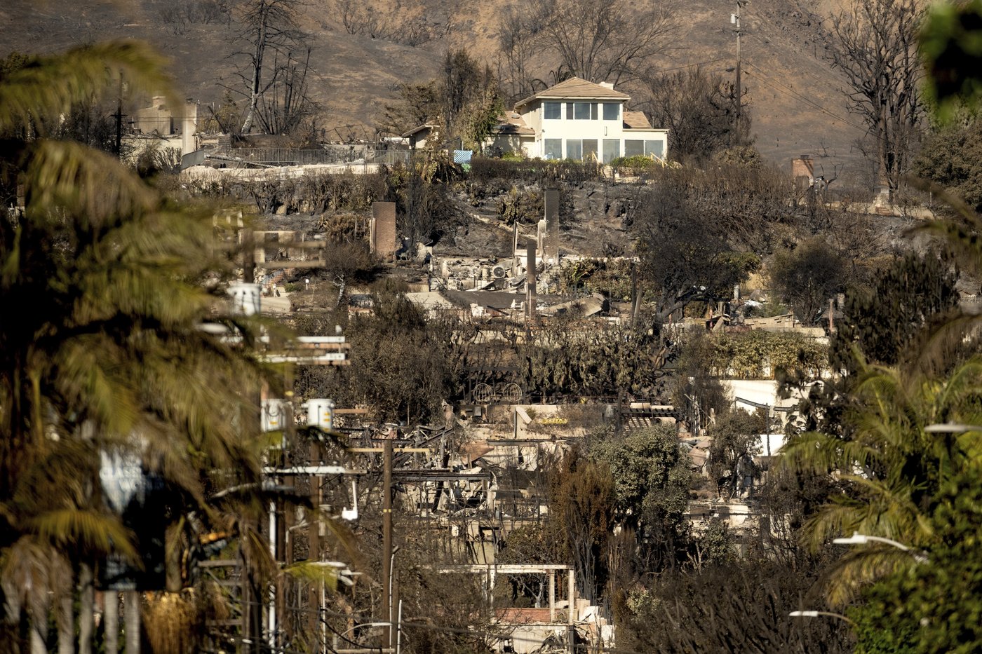 Why are lone homes left standing after the fires? It's not entirely luck | iNFOnews.ca Why are lone homes left standing after the fires? It's not entirely luck | iNFOnews.ca