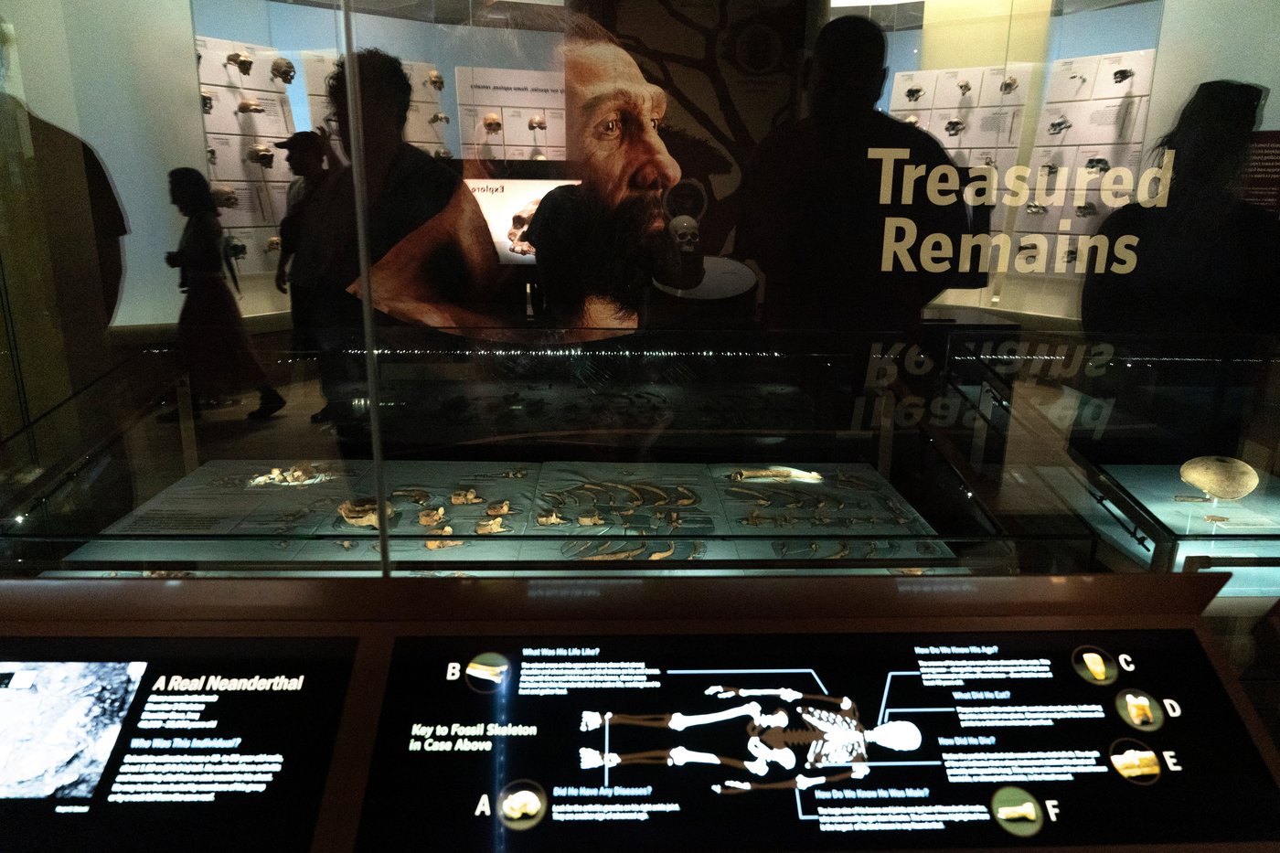 Ancient coupling may have happened more between human females and Neanderthal males | iNFOnews.ca