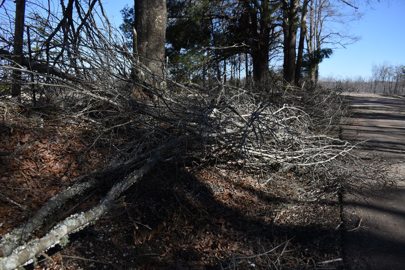 Mississippians near two weeks without power after winter storm | iNFOnews.ca
