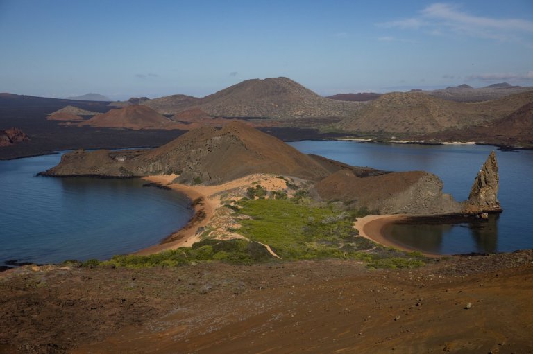 A stronger-than-normal El Nino alarms scientists over Galápagos wildlife and forests | iNFOnews.ca
