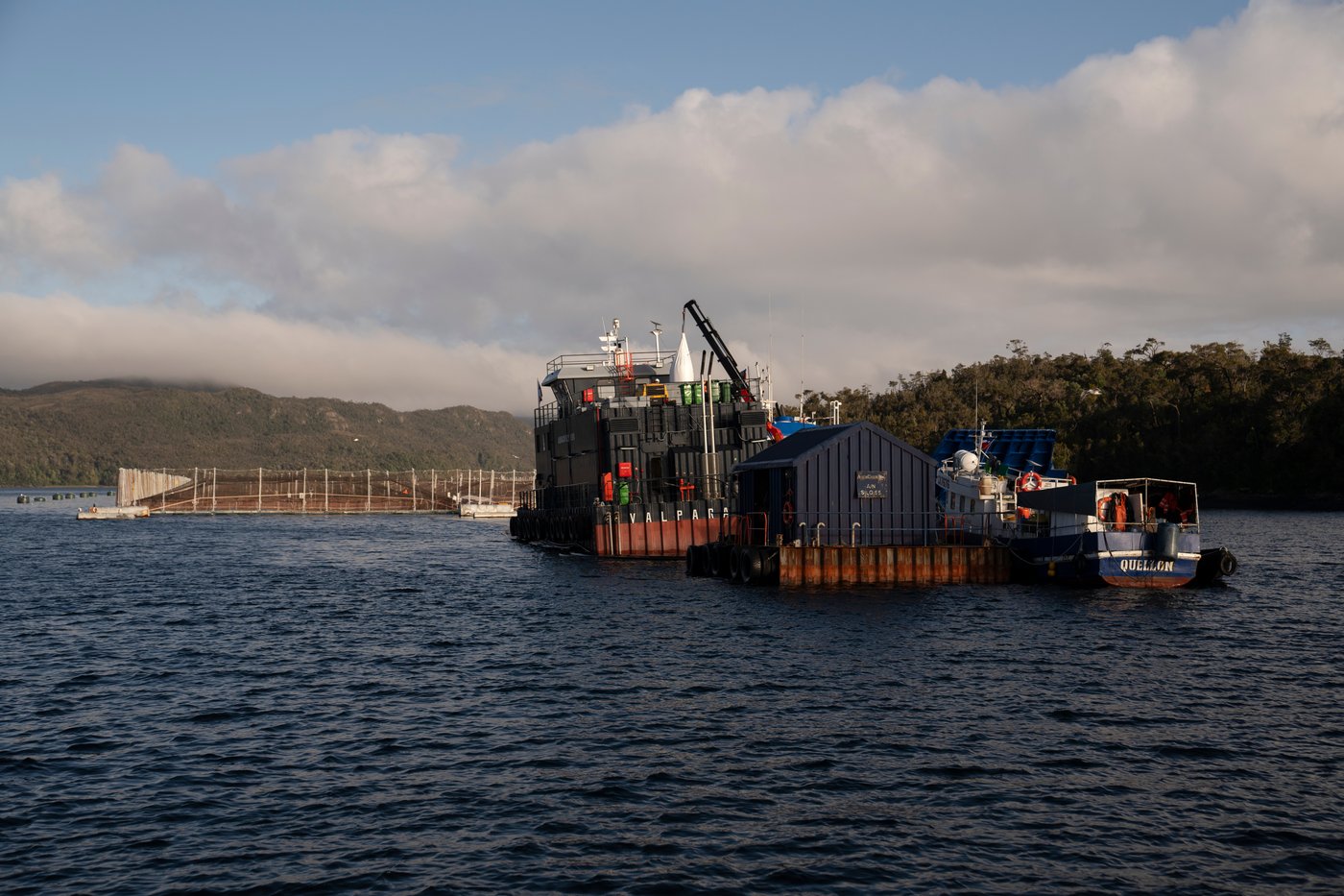 In southern Chile, locals push to protect oceans that have been hurt by intensive salmon farming | iNFOnews.ca In southern Chile, locals push to protect oceans that have been hurt by intensive salmon farming | iNFOnews.ca