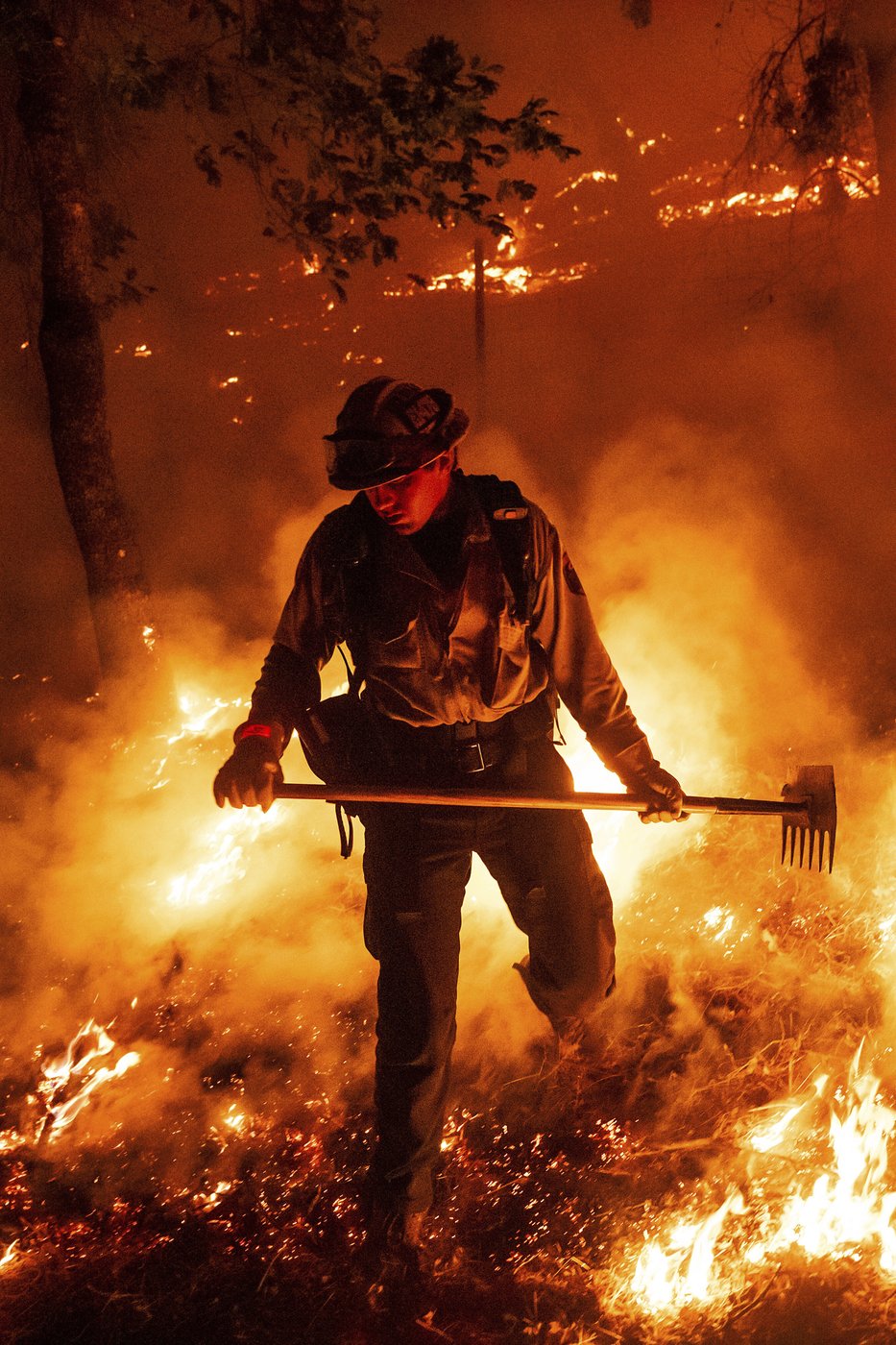 See the world in vertical: Top photos by AP's photojournalists | iNFOnews.ca