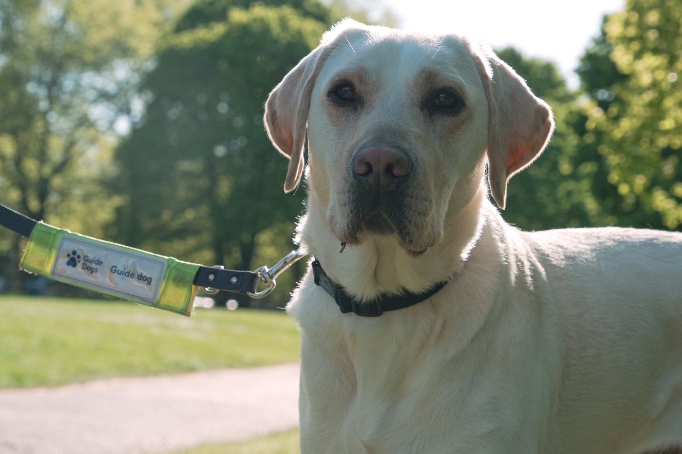 AI smart glasses will help visually impaired runners take on the London Marathon | iNFOnews.ca