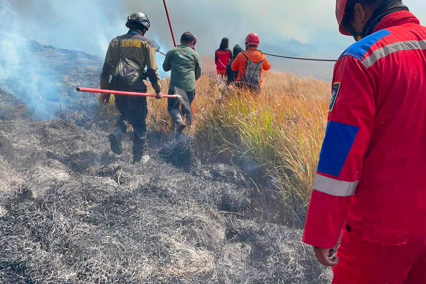 Fire burns 60 hectares in Indonesia’s Mount Bromo National Park | iNFOnews.ca