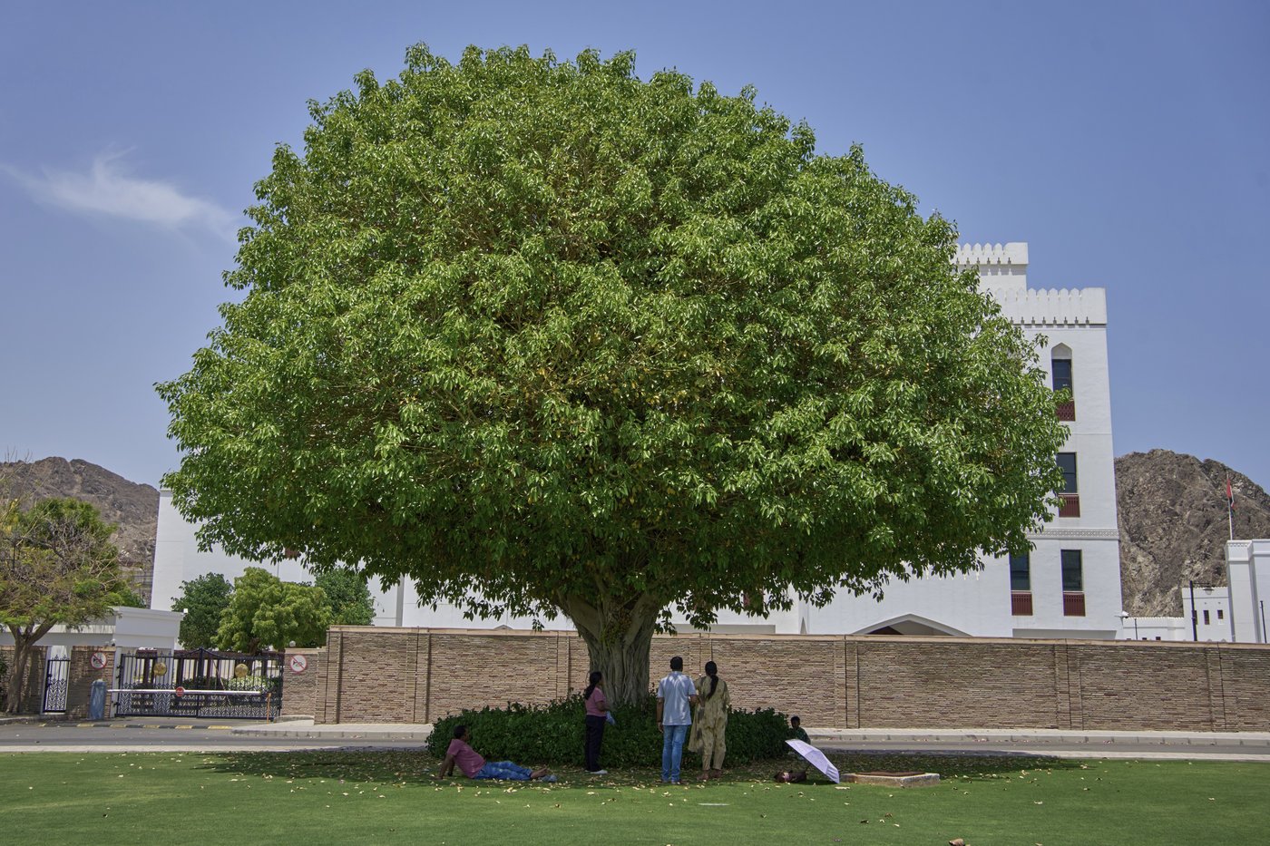 PHOTO COLLECTION: Spring Weather | iNFOnews.ca