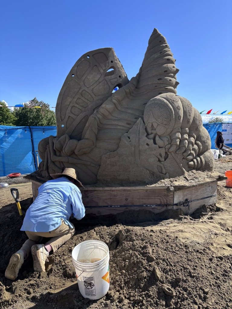 Sand sculptures damaged by vandals at Vancouver Island beach festival, organizers say | iNFOnews.ca