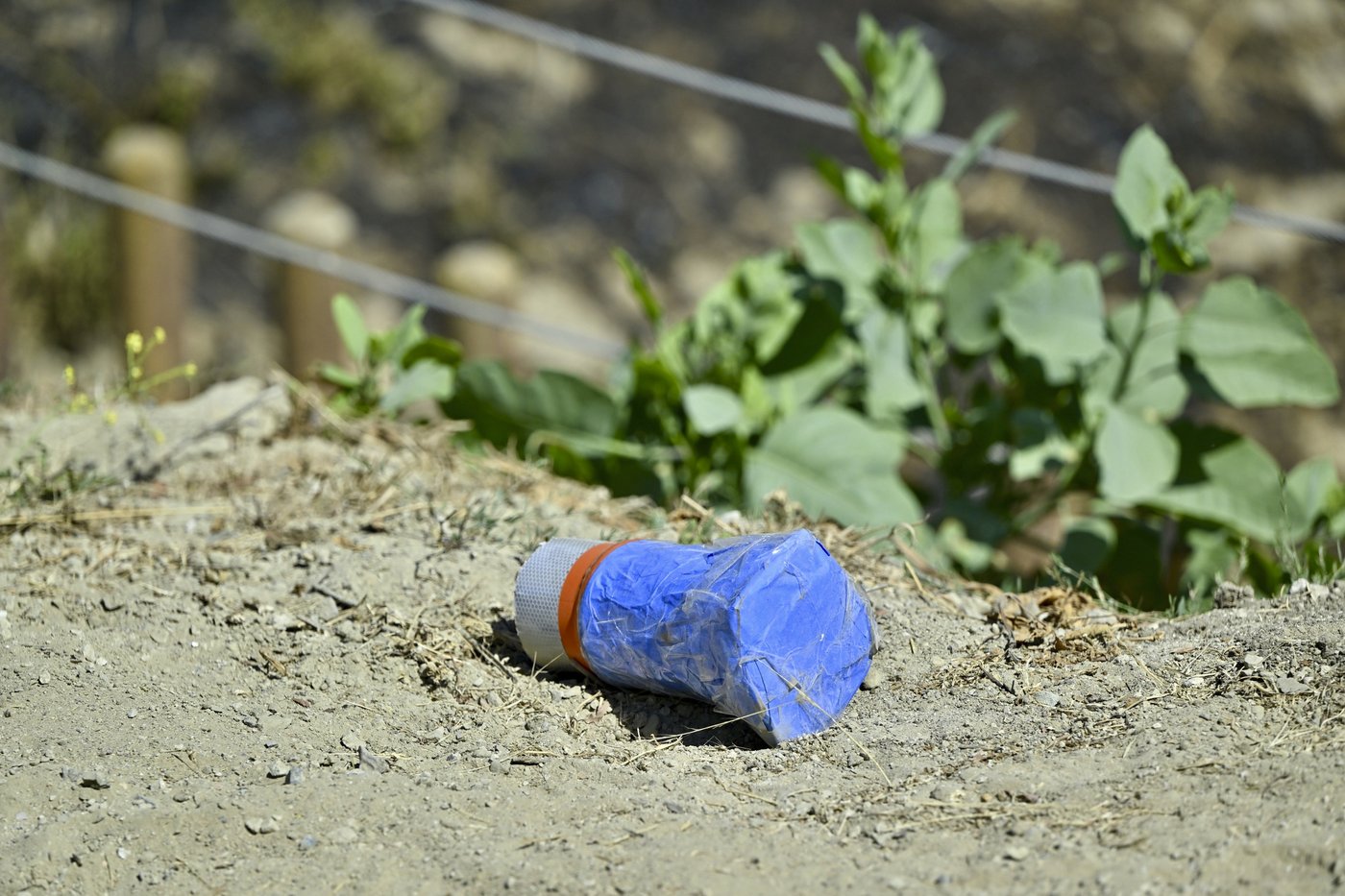 13-year-old suspected of setting off fireworks that sparked Southern California wildfire | iNFOnews.ca 13-year-old suspected of setting off fireworks that sparked Southern California wildfire | iNFOnews.ca