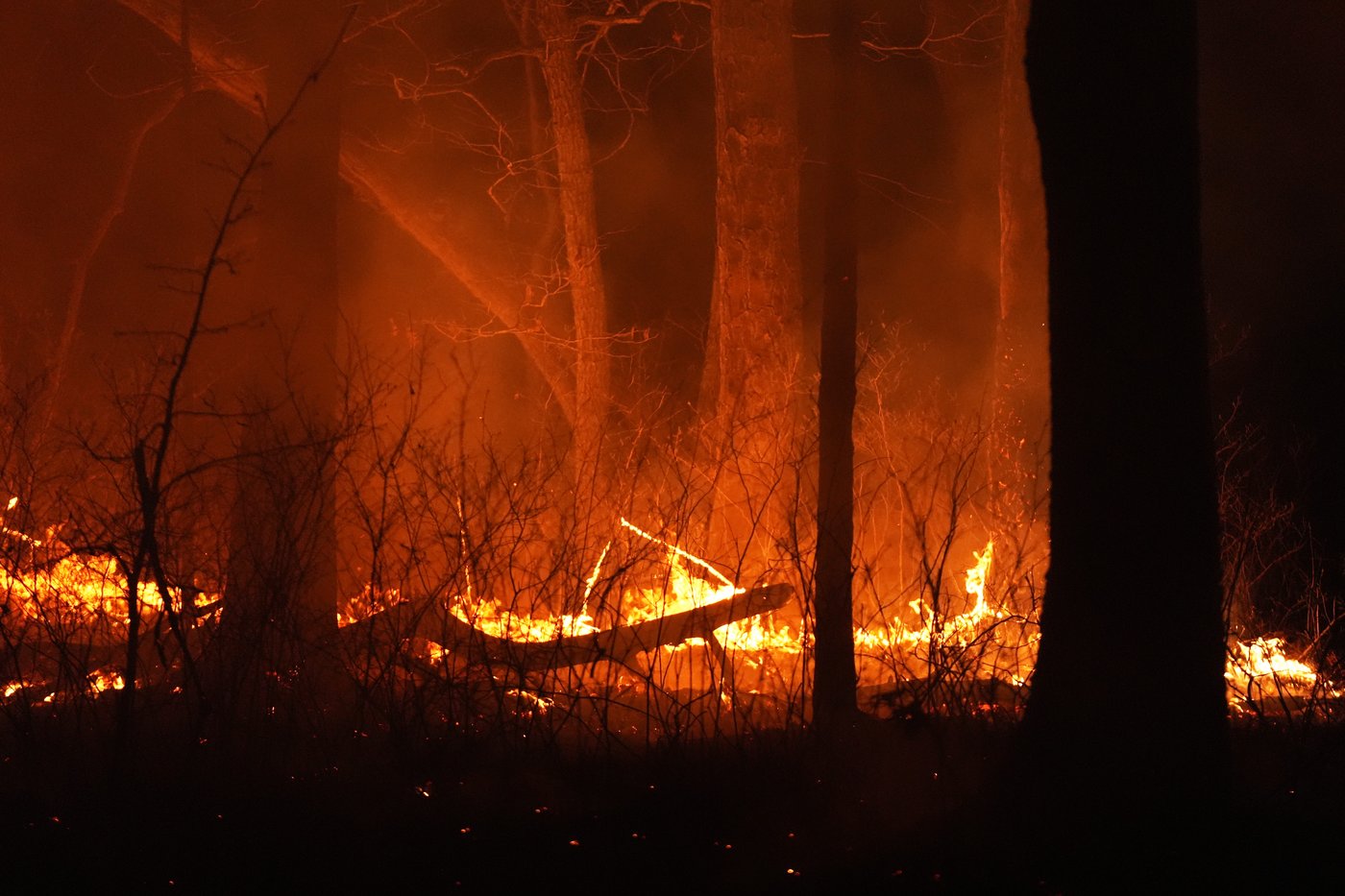 Wildfire in New Jersey Pine Barrens expected to grow before it's contained, officials say | iNFOnews.ca Wildfire in New Jersey Pine Barrens expected to grow before it's contained, officials say | iNFOnews.ca
