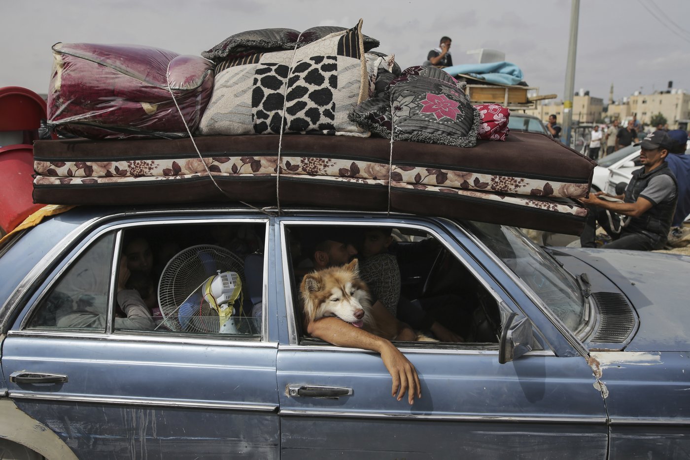 A displaced family's year of fleeing across the devastated Gaza Strip | iNFOnews.ca