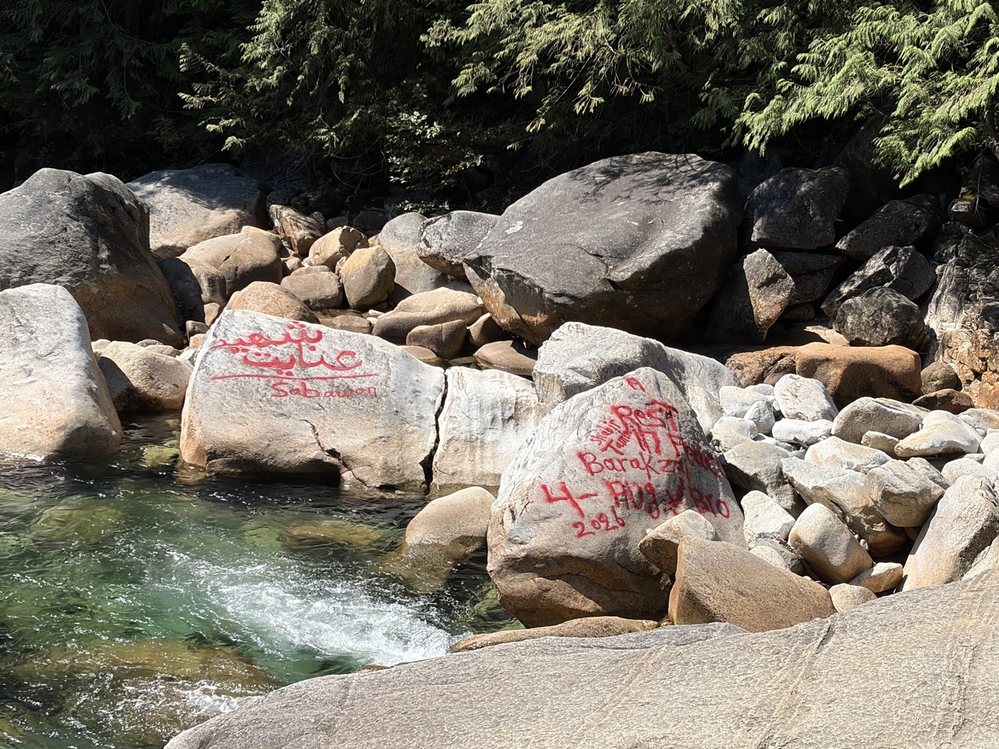 Man accused of B.C. park graffiti arrested after turning himself in | iNFOnews.ca