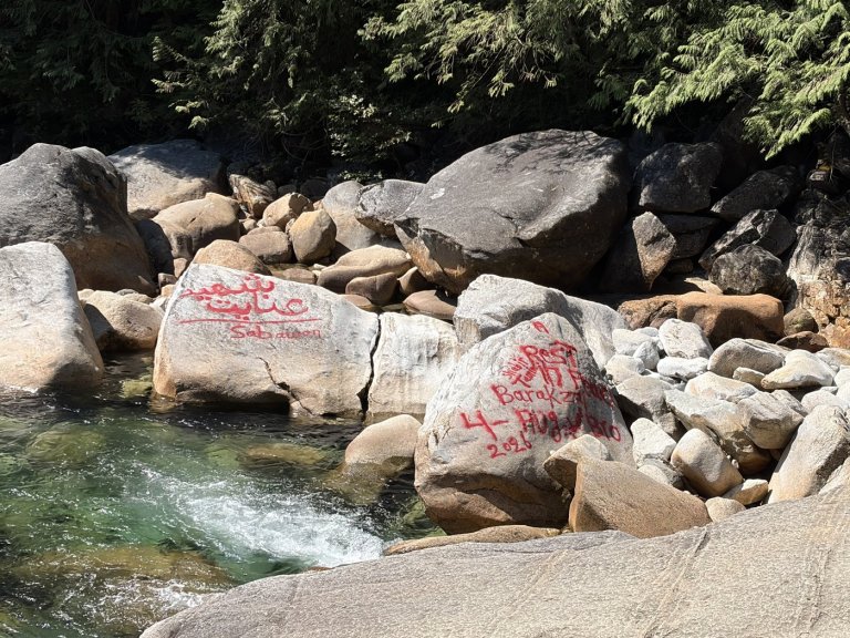Man accused of B.C. park graffiti arrested after turning himself in | iNFOnews.ca