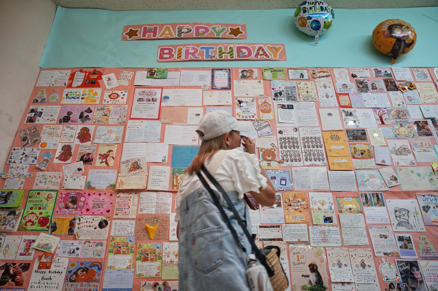 Japan’s monkey sensation Punch turns 1, drawing a flood of well-wishing messages, in photos | iNFOnews.ca